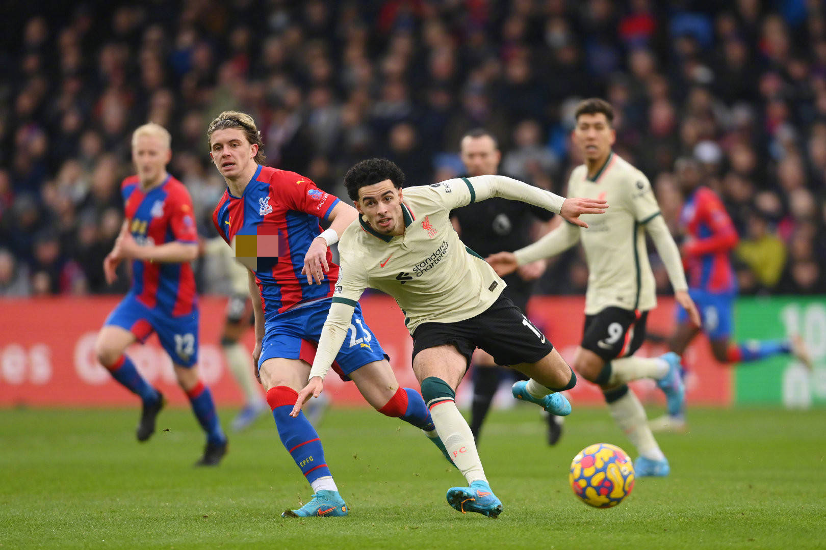 处于不败的 处于不败的